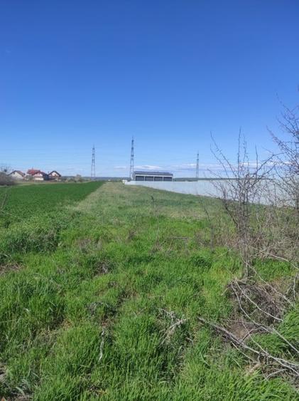 Teren agricol, în Albești