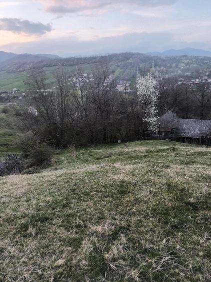 Teren de 2600 mp, în Izvoarele