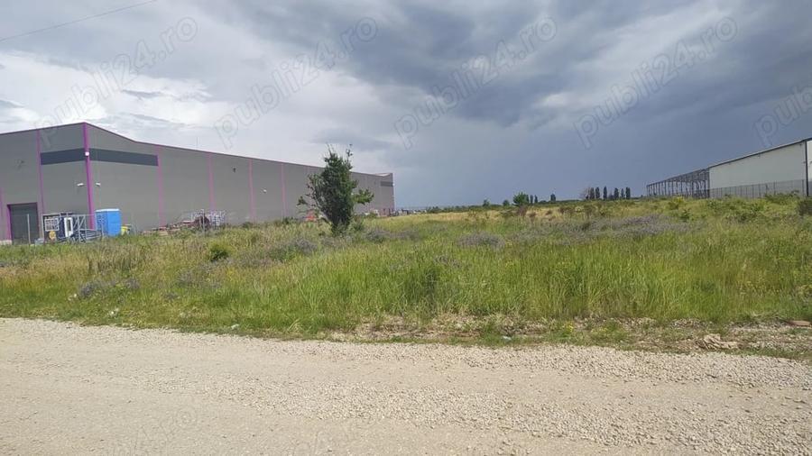 Teren de 10000 mp, în Afumați