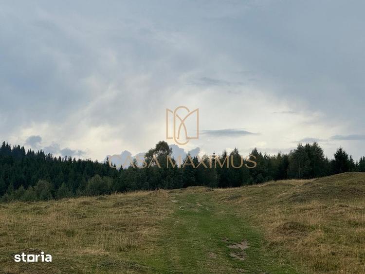 Teren de 14526 mp, în Gura Râului