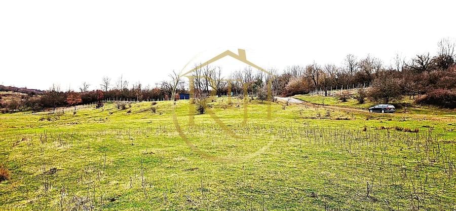 Teren agricol extravilan de 25000 mp, în Secaș
