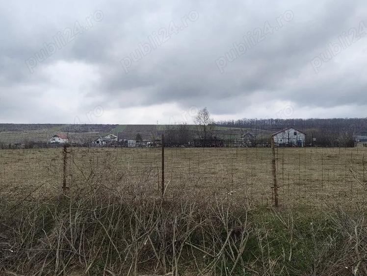 Teren de 1100 mp, în Mogoșești
