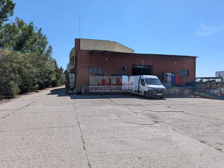 Teren Construcții intravilan de 10000 mp, în Vest
