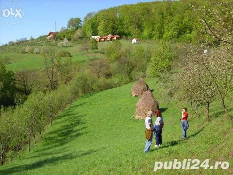 Teren de 18000 mp, în Moneasa