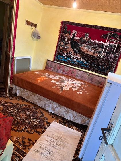 Casă cu Teren 2000 Mp în Prundu