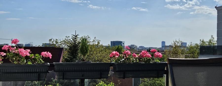 Apartament cu 3 camere decomandat în Pipera