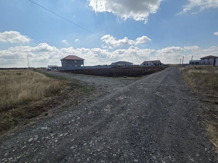 🏡 Teren de vânzare în Remetea Mare – 609 mp | 35.000 € - 6