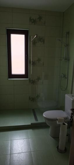 Apartament cu 2 camere decomandat în Dosu Bricii