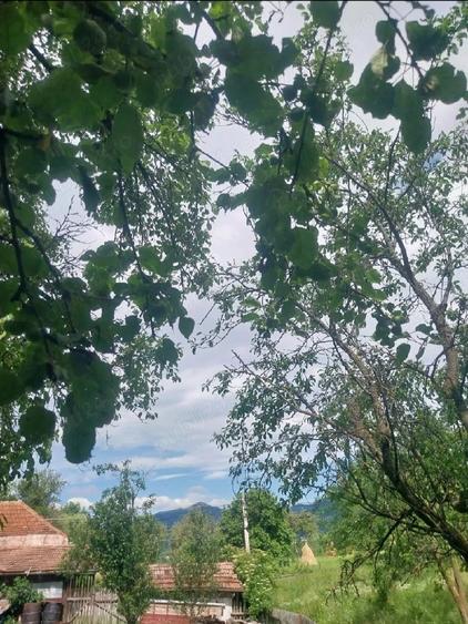 Teren de 1000 mp, în Podul Lung