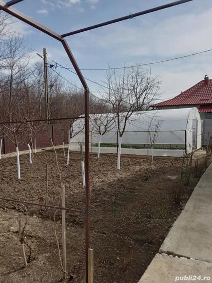 Casă în Beuca
