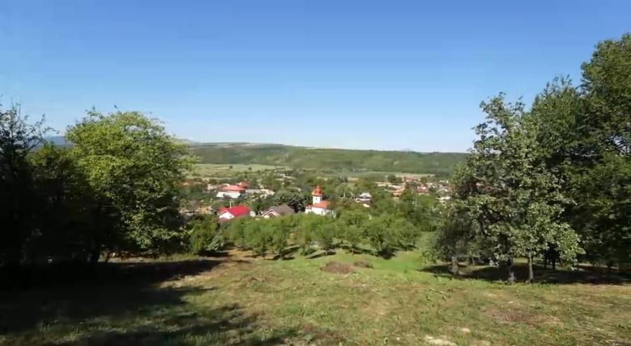 Teren Construcții intravilan de 10537 mp, în Filipești (Bogdănești)