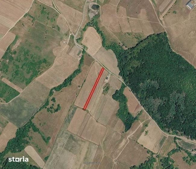 Vand teren extravilan in Ortelec (Satu Batran) - 1