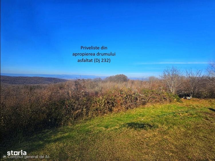 Spațiu comercial, în Seciu