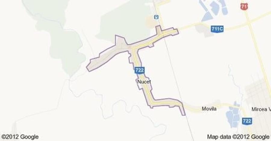 Teren de 9195 mp, în Nucet