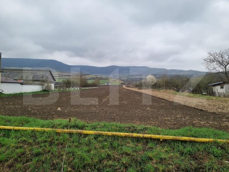 Teren Construcții intravilan de 16000 mp, în Exterior Sud