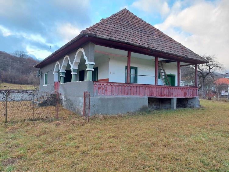 Casă cu 3 camere în Băița