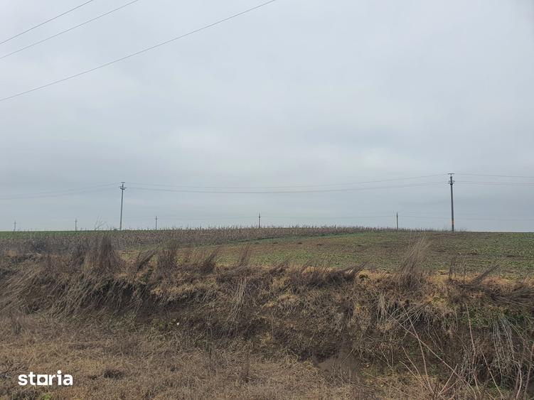 Teren de 140000 mp, în Albești