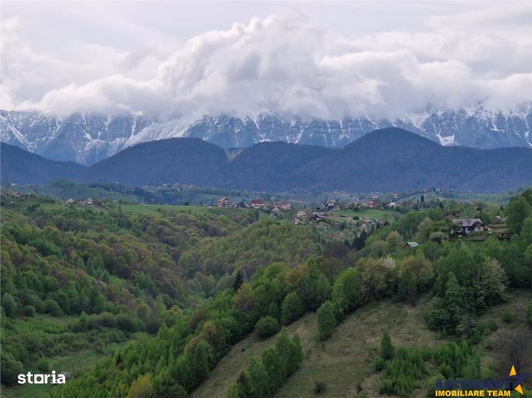 Teren de 6966 mp, în Fundata