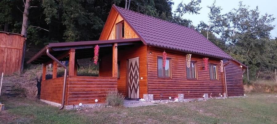 Casă cu 4 camere în Săliștea