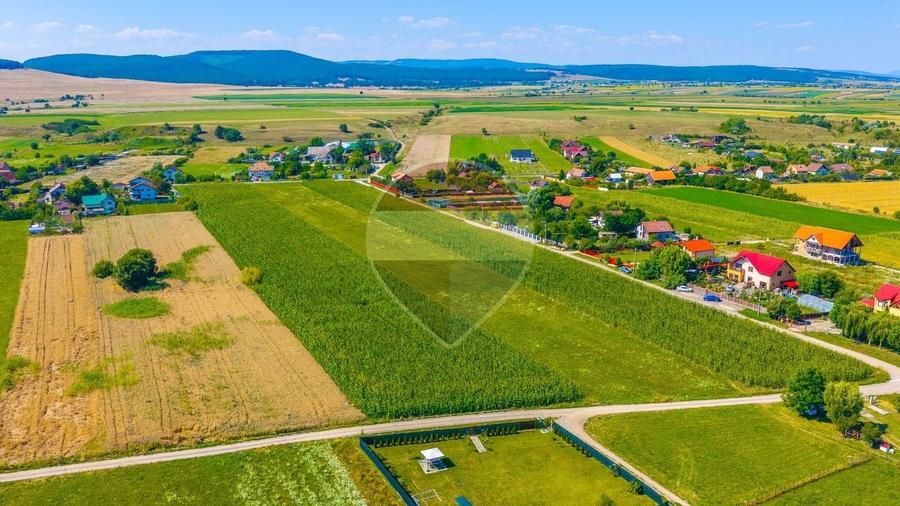Teren Construcții intravilan de 10800 mp, în Podu Oltului
