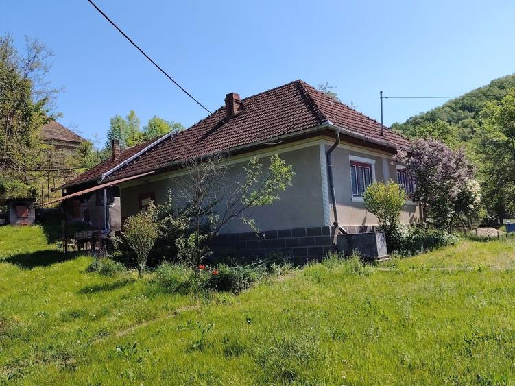 Casă cu 2 camere în Ormindea