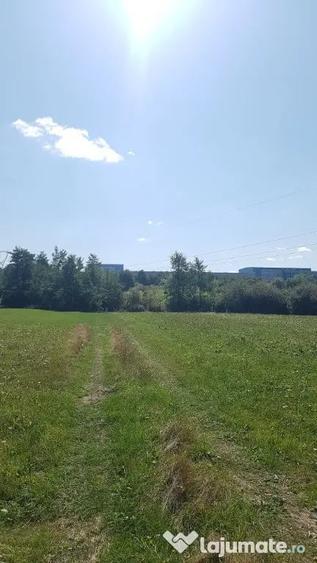 Rus, 1 ha teren extrav. - Dumbravita (Maramures) - 2