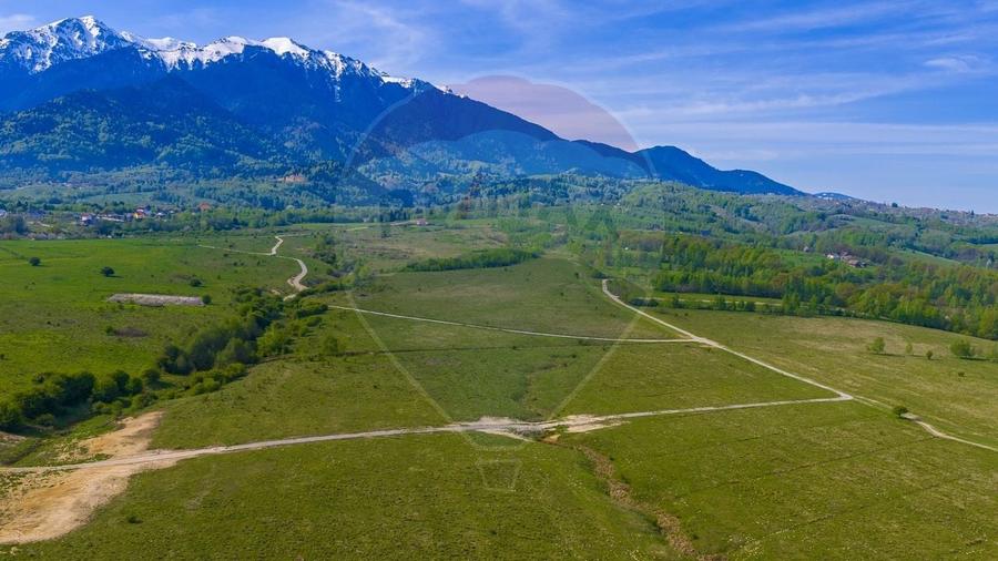 Teren agricol extravilan de 13800 mp, în Glăjărie