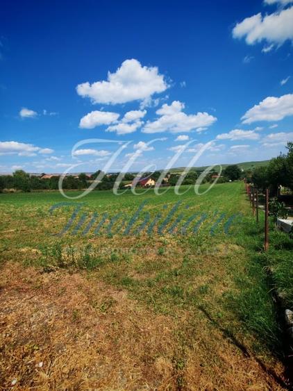 Teren Construcții intravilan de 7694 mp, în Tureni