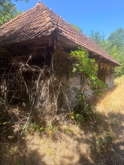Casă în Brusturi