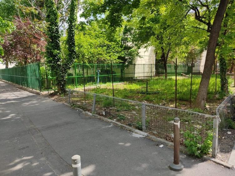 Teren Construcții intravilan de 304 mp, în Tei