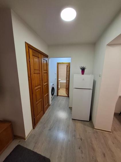Inchiriez apartament 2 camere decomandat, 52 mp, complet utilat, renovat recent aproape de Lidl, Sfantu Gheorghe - 7