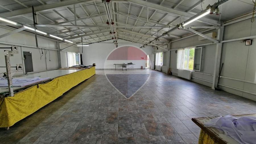 Spațiu industrial, de 200 mp, în Vișan