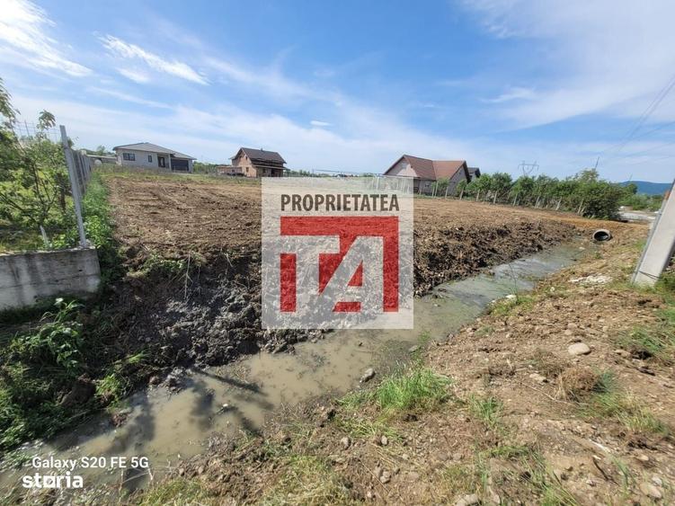 Spațiu comercial, în Cătălina