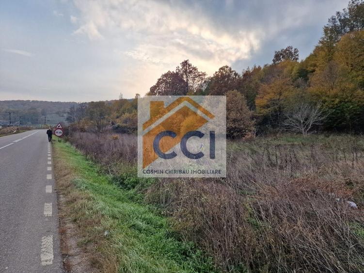 Teren agricol extravilan de 1717 mp, în Mărgineni