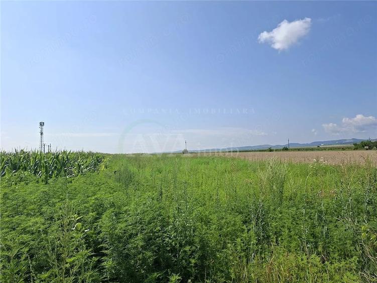Teren de 1600 mp, în Central