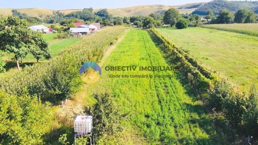 TEREN intravilan 6764 mp DRAGOMIRESTI - VAD. - 9