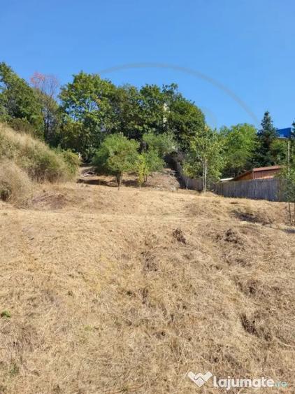Teren intravilan Turcesti (Pitesti) - 1083 mp, demisol execu - 4