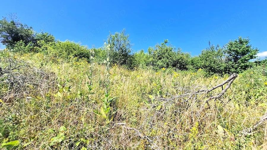 Teren de 1468 mp, în Daia