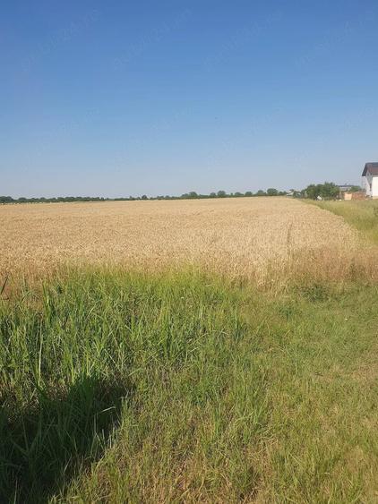 Teren de 18000 mp, în Bujac
