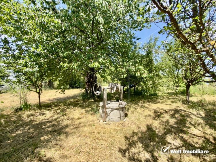 Teren agricol intravilan de 1051 mp, în Borhanci