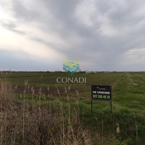 Teren Construcții intravilan de 535 mp, în Tărtășești