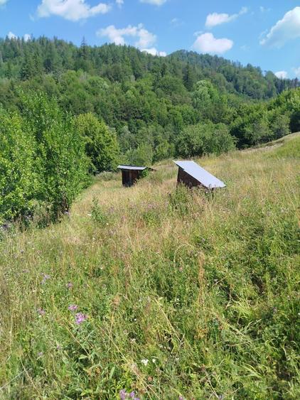 Casă cu 3 camere în Vadu Oii