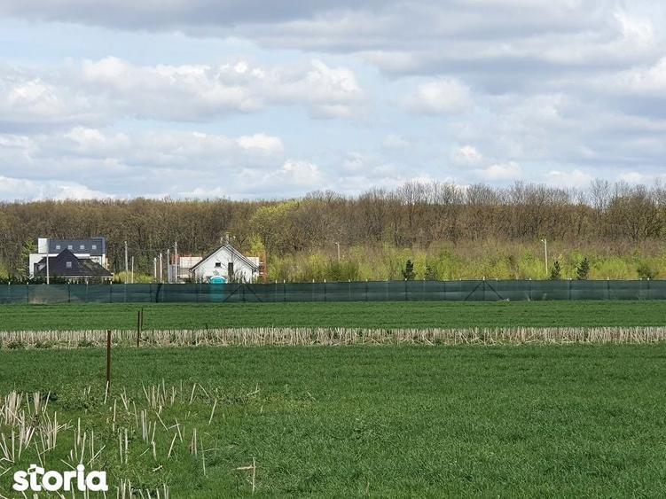 Teren de 800 mp, în Balotești