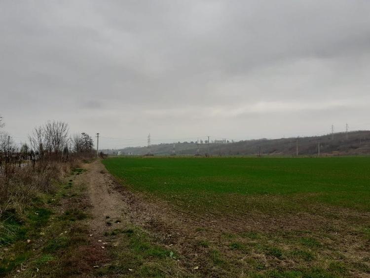 Teren agricol extravilan Onesti, jud. Bacau - 8