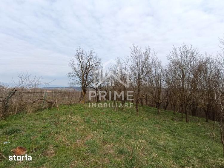 Teren de 1295 mp, în Berghin