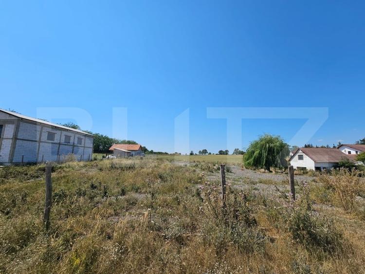 Teren Construcții intravilan de 4000 mp, în Pianu