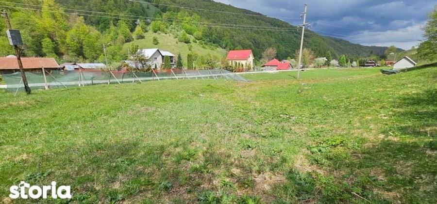Teren de 2450 mp, în Bulz