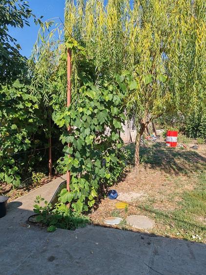 Casă cu 4 camere cu Teren 10000 Mp în Bârca