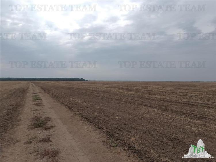 Teren agricol extravilan de 81906 mp, în Petrăchioaia
