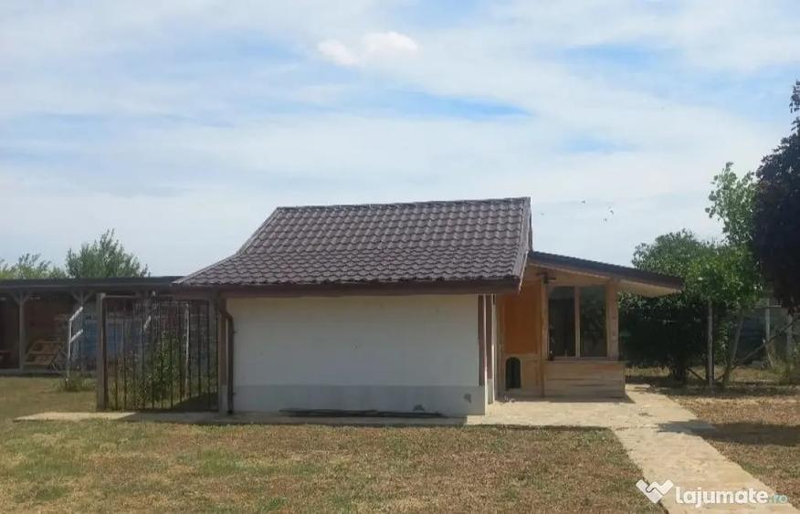 Casă cu 3 camere cu Teren 2000 Mp în Mihail Kogălniceanu